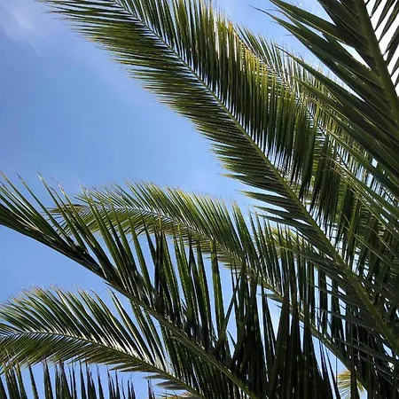 Отель Ancre Marine & Thalgo *** 3*