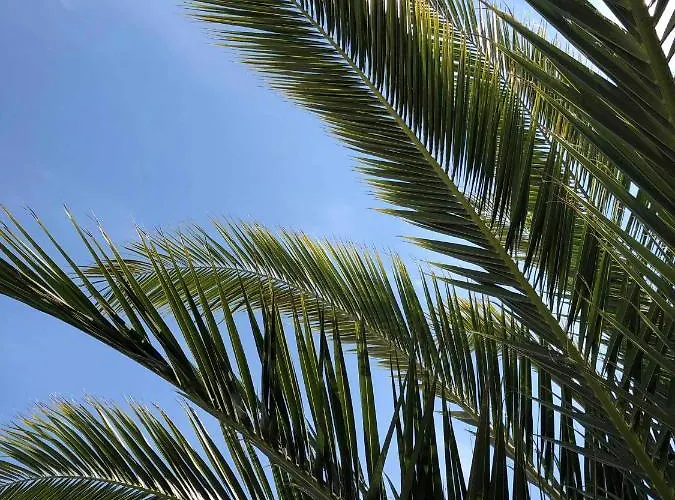 Hotel Ancre Marine & Thalgo *** 3*